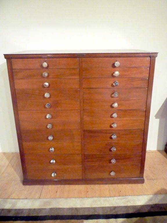 Large Scale Collectors Cabinet 4