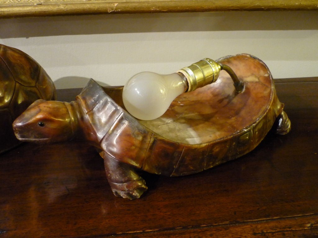 Crazy Cool Italian Alabaster Turtle Lamp 2