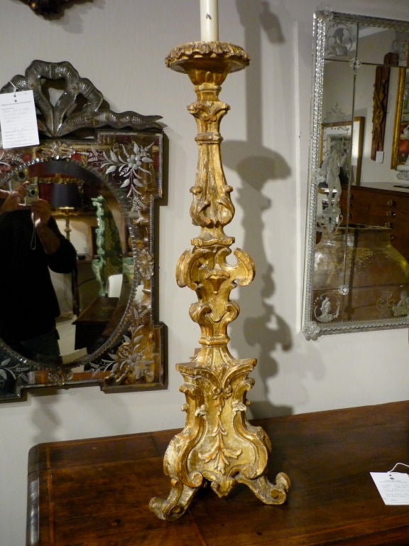 Pair of high quality Italian Baroque carved gilt wood candlesticks now wired as lamps. Expertly carved with shell motifs on two sides and floral on the third