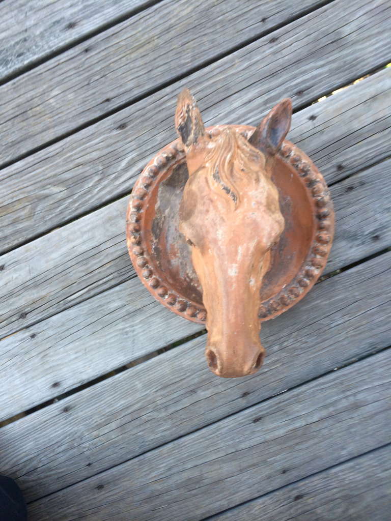 19th Century French Terracotta Horse Head Sculpture 4