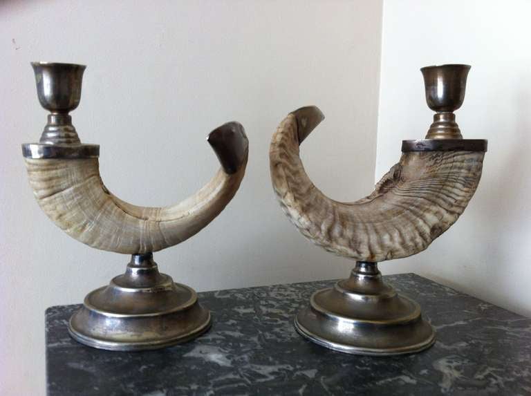 Pair of handsome continental ram's Horn candlesticks with silver mounts.