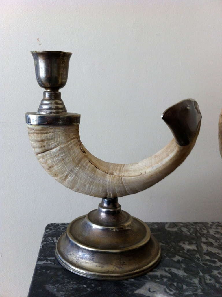 ram horn candlestick holders