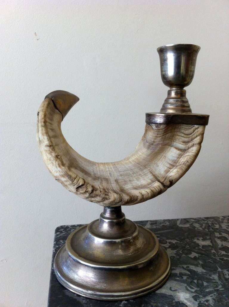 ram horn candle holder