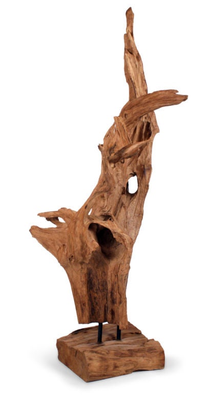 A unique and extraordinary natural sculpture made from a large tree root mounted to a free-form wood base; beautiful from every angle. Asia, 20th century.