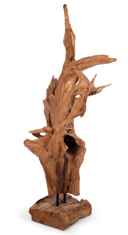 teak root sculpture