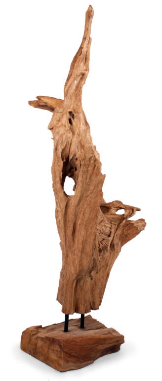 Organic Modern Wild Asian Teak Tree Root Standing Sculpture For Sale