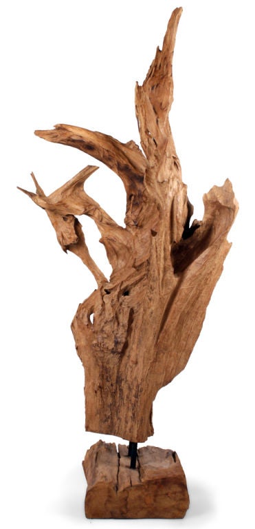 Wild Asian Teak Tree Root Standing Sculpture In Excellent Condition For Sale In New York, NY