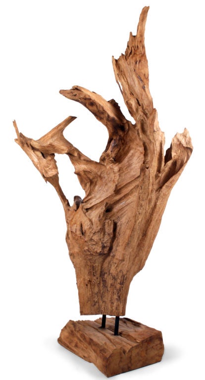 20th Century Wild Asian Teak Tree Root Standing Sculpture For Sale