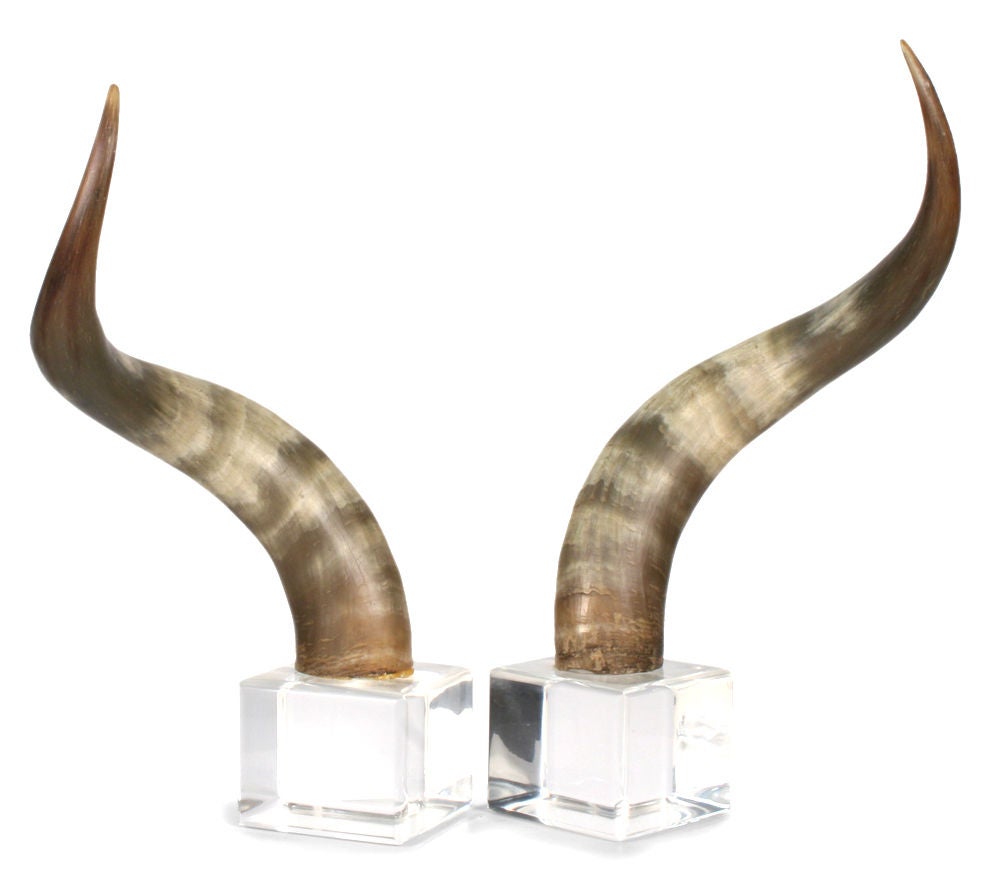 horn bookends