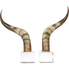 Steer Horn Bookends 5