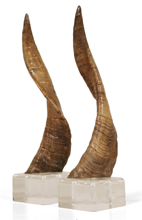 Pair of African Horns on Lucite Bases after Karl Springer In Excellent Condition In New York, NY
