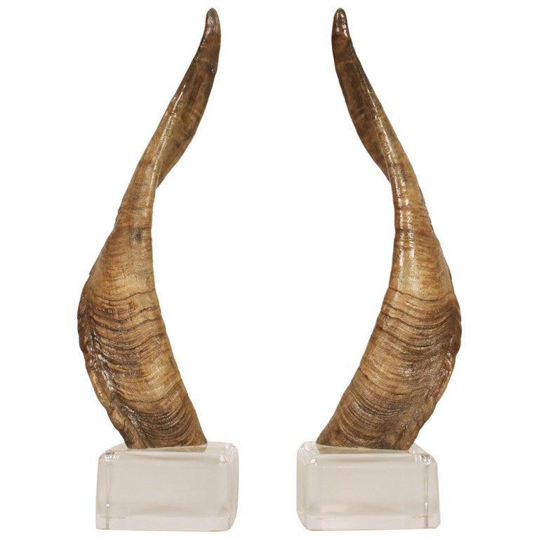 Pair of African Horns on Lucite Bases after Karl Springer