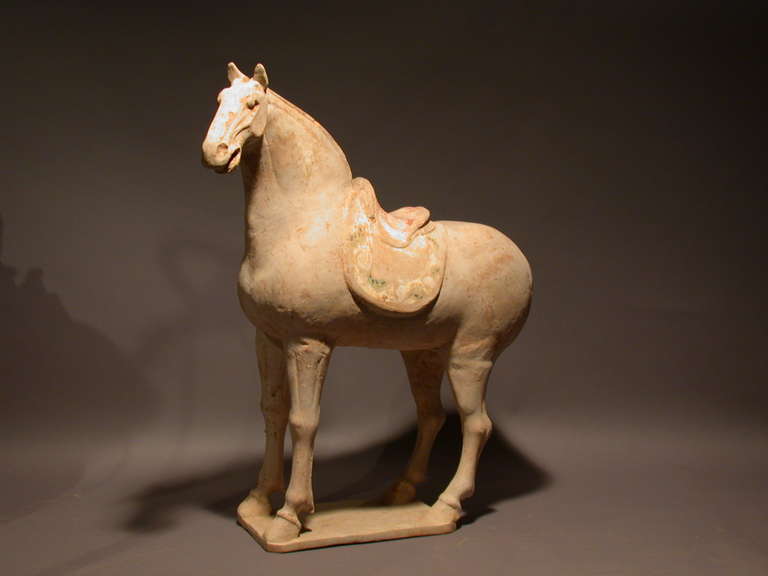 A fine Tang dynasty 618 AD - 907 AD standing pottery horse, finely modeled with original pigment, comes with Oxford authentication TL test certificate. Oxford TL test sample number C106t34.
