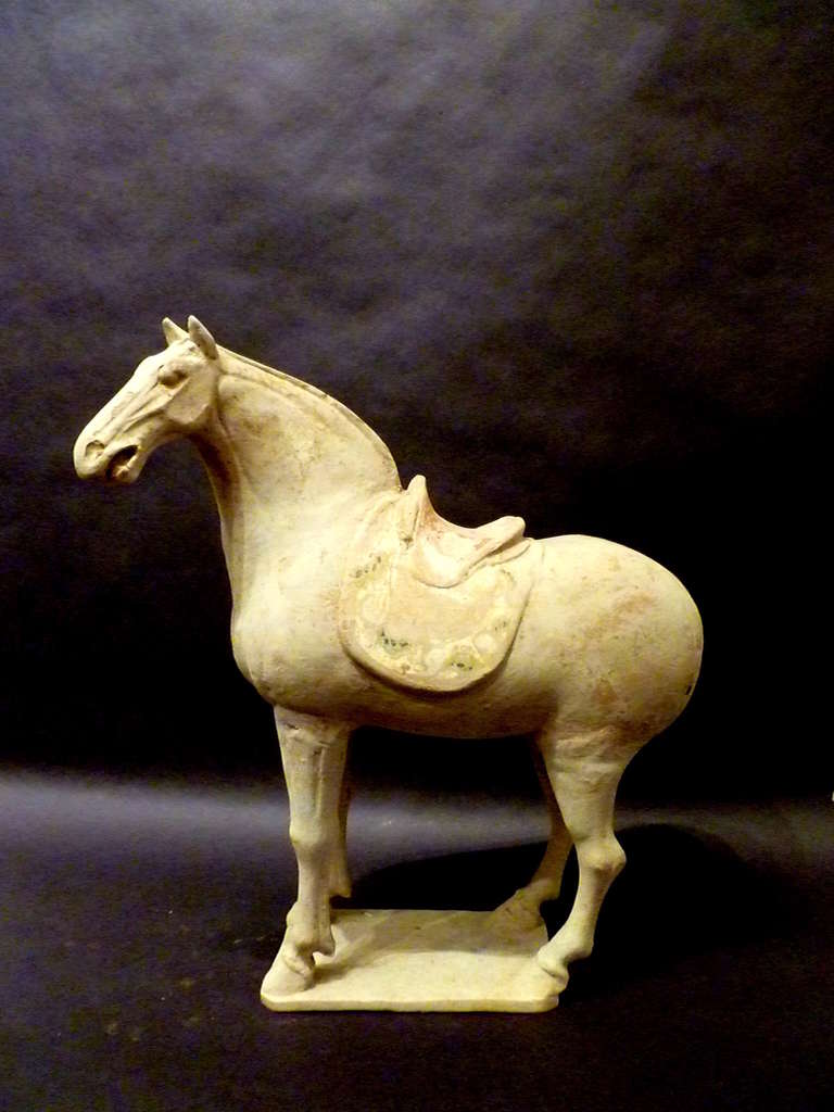 tang dynasty horse sculpture