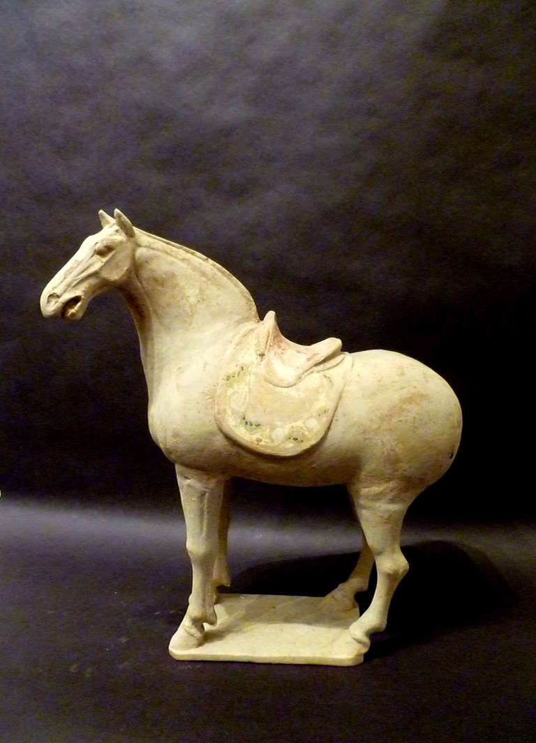 Chinese Fine Tang Dynasty Statue of Standing Horse