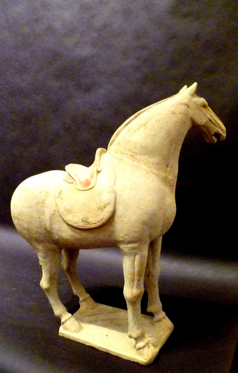 Han Dynasty Horse And Rider Terracotta, 206 Bc-220 Ad 