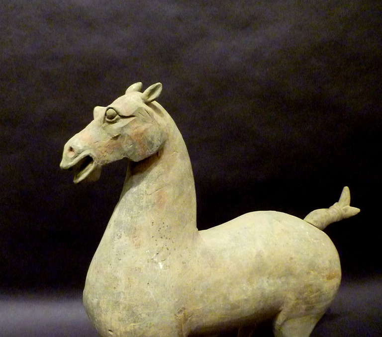 Fine Han Dynasty Statue of Standing Horse, TL Test Certificate In Good Condition In Greenwich, CT