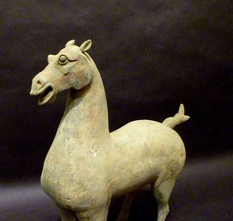 Terracotta Fine Han Dynasty Statue of Standing Horse, TL Test Certificate