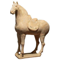 Fine Tang Dynasty Statue of Standing Horse