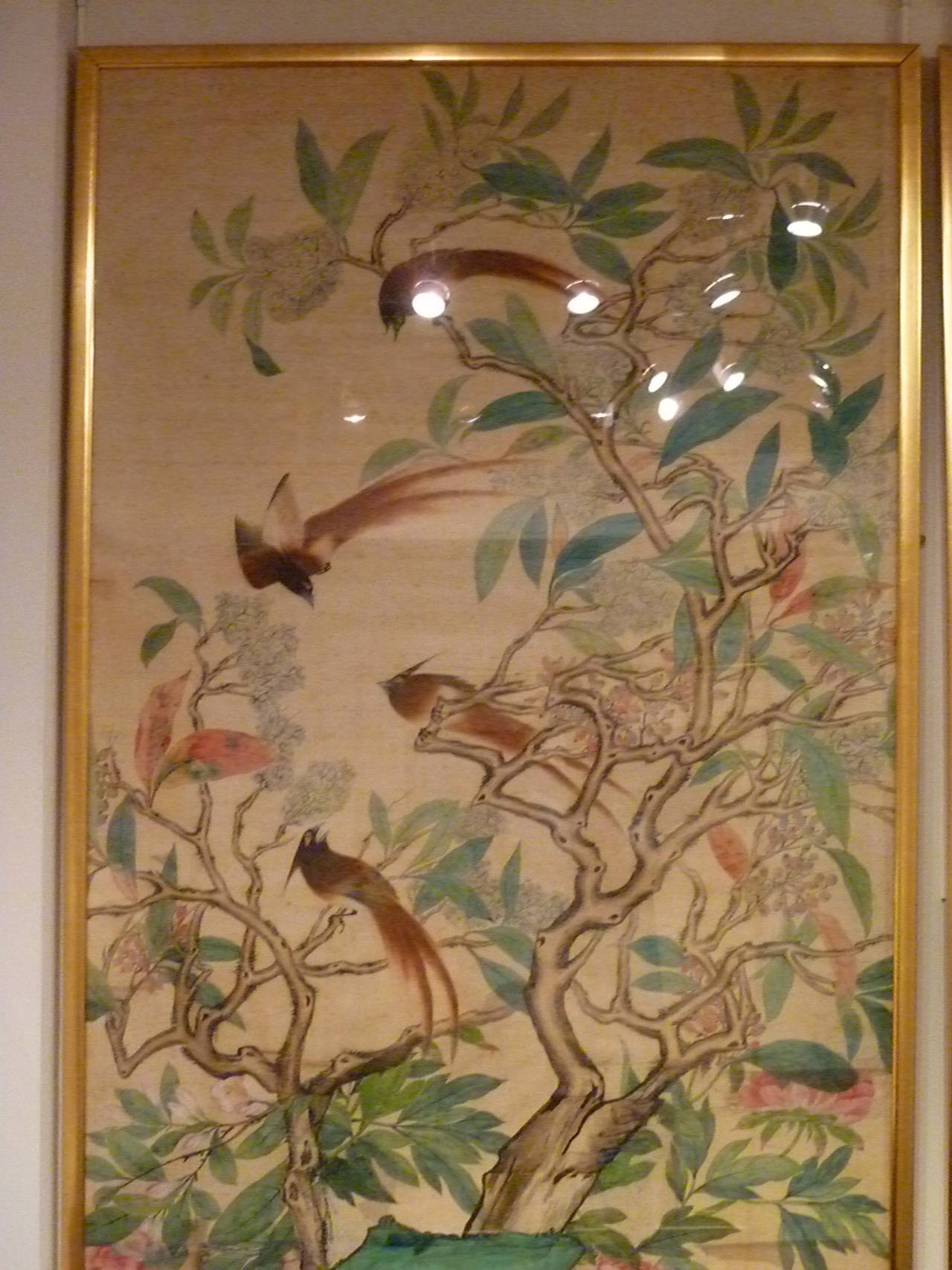 Pair of Fine Brush Painting, Anglo-Chinese School of Birds and Flowers 1