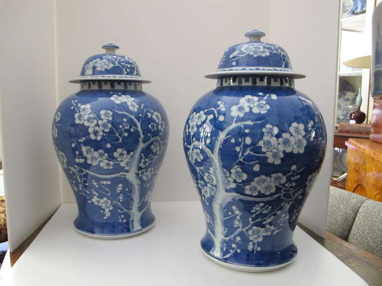 Pair of blue and white porcelain ginger jars with lids depicting cherry blossoms.
