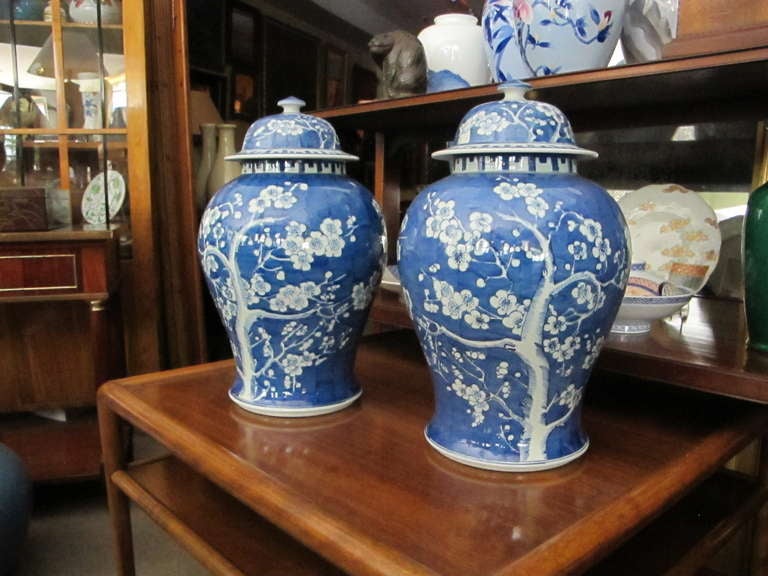 Chinese Pair Of Blue And White Lidded Ginger Jars