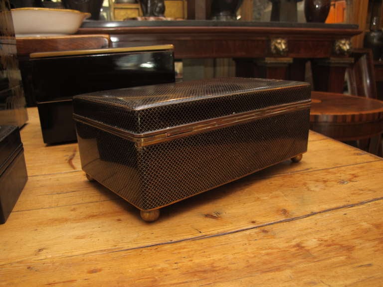 19th Century Chinese cloisonné box
