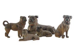 Group of five English terra-cotta pugs