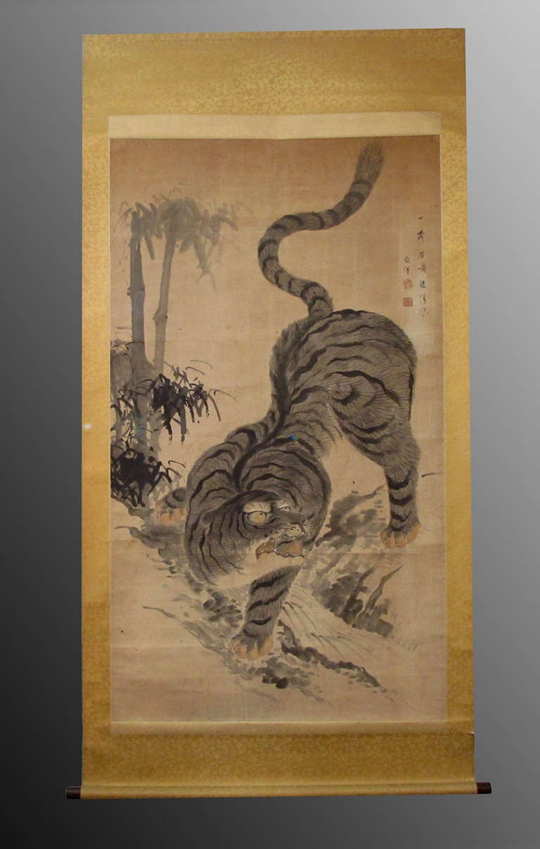 Japanese scroll of tiger painted on silk. Artist signed - Edo Period