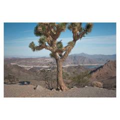 Kipp Wettstein Field Notes "Lake Mead," 2014 12