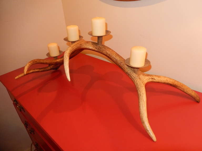 Large scale 6 point elk antler candelabra.  Holds four candles on metal bases.
Three available,priced per piece.Each varies slightly in shape and size.