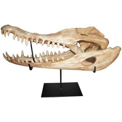 Large Vintage Cast Aligator Skull