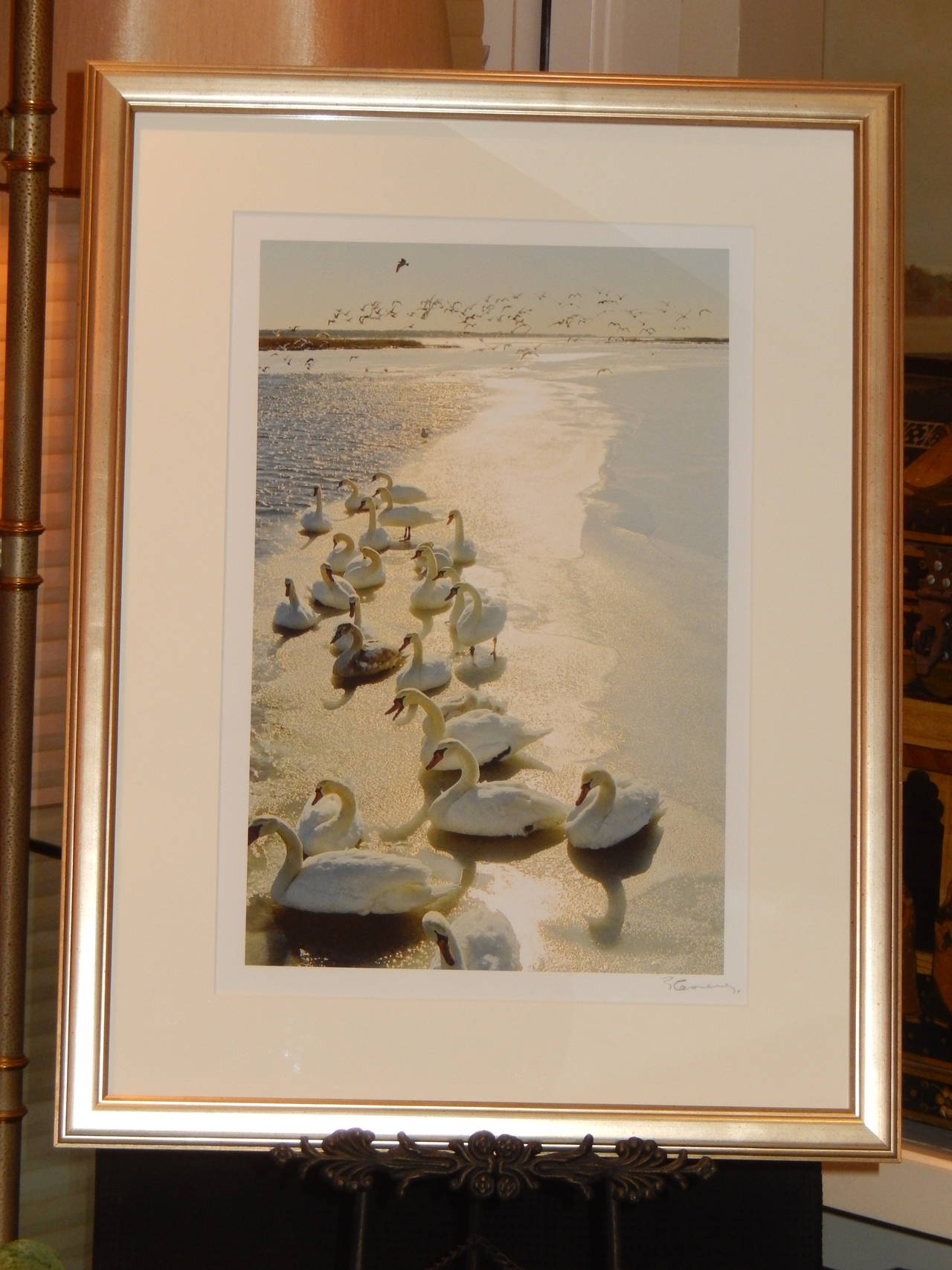 A swan ballet by renowned Photographer Patrice Casanova. Limited addition of 20 images. Image size 12 x 17, framed 18 x 25 inches.