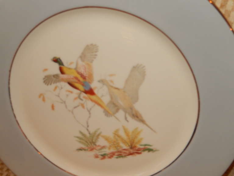 Six dinner plates by Copeland Spode. Showing three different game birds.Canada Geese,Scottish Grouse and a pair of Cock Pheasants.
Soft dove grey outer circle,and 22 carrot gold rim,hand painted game birds.