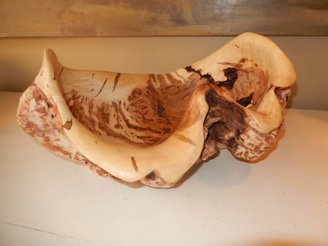 A massive free-form maple/ burl wood vessel or bowl. Naturally found in the shape of a giant clam shell.Polished and oiled to bring out all the natural veins and colors of the wood root.Food safe.