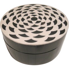 North African Hand Crafted Bone & Horn Box