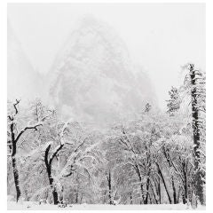 Snowstorm-El Cap Meadow, Yosemite, CA, 2001 Artist: Bob Kolbrener