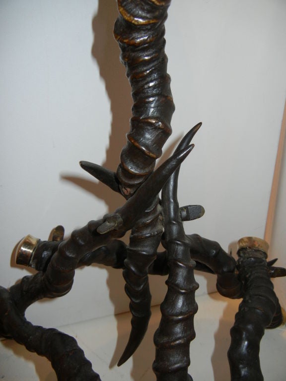 20th Century A  Rare 1920s Black Buck Antelope  Horn, Side Table