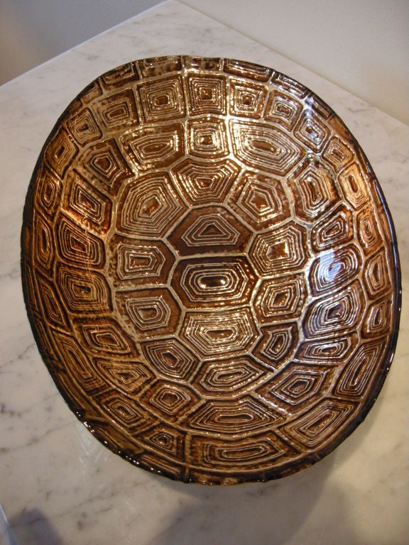 tortoise bowl
