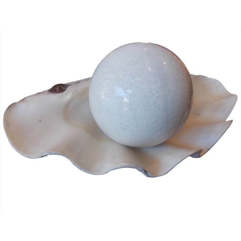 A Large South Seas Clam Shell & Marble Pearl