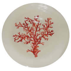 A Large  Hand Painted Ceramic Coral Themed Bowl