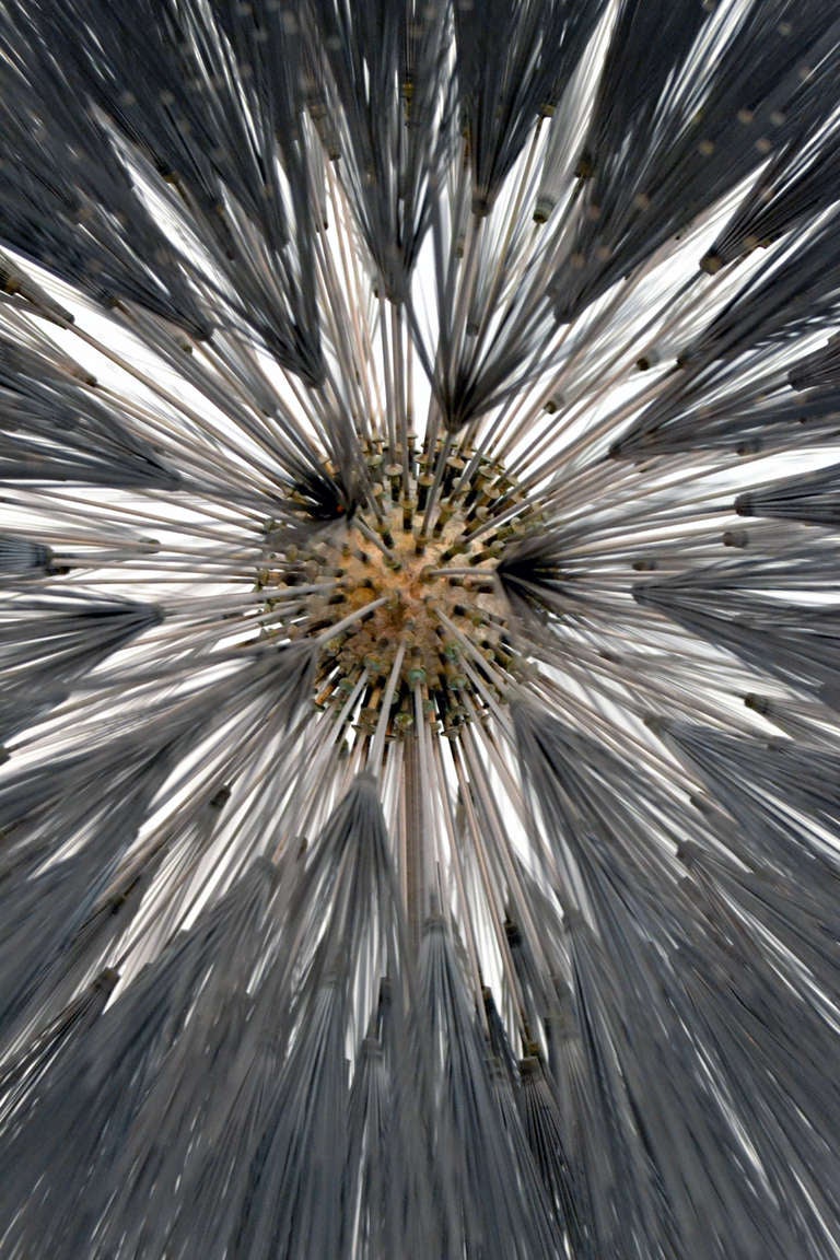 American Incredible Stainless Steel Dandelion by Harry Bertoia