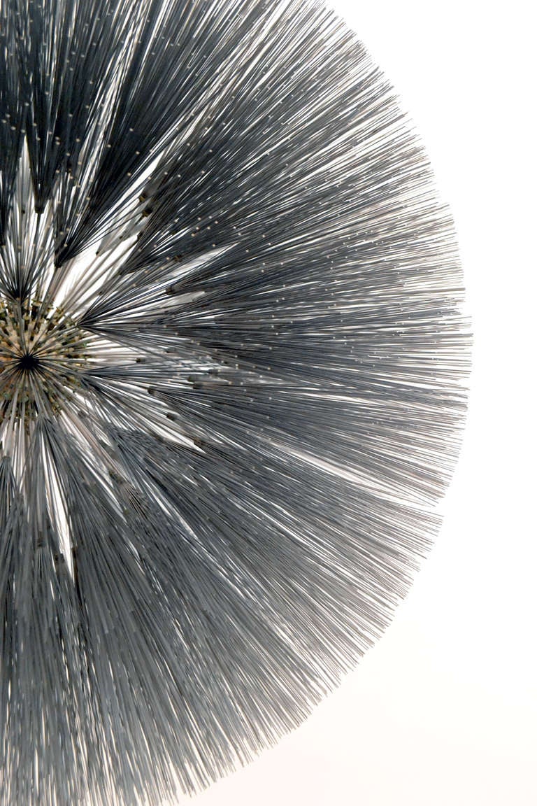 Certainly one of the most beautiful and rare sculptural forms by Harry Bertoia. Bertoia's ability to simulate nature through the use of metal is a singular achievement. This particular dandelion sculpture by Harry Bertoia is made of thousands of