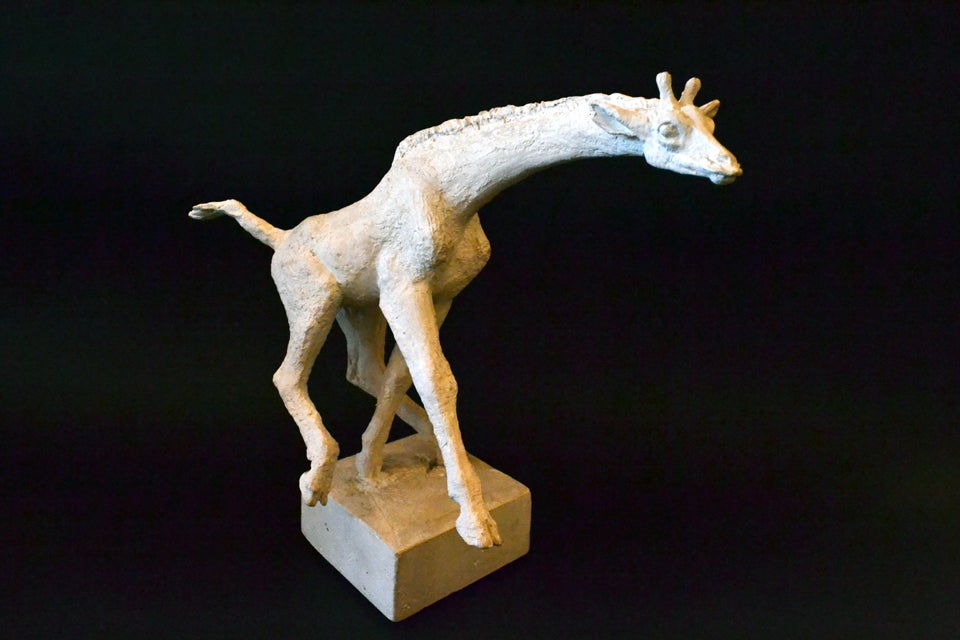 Wonderful original plaster model of a running Giraffe by Hugo Liisberg (1898-1958.