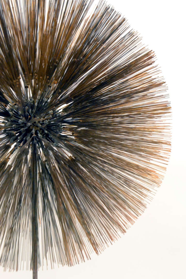 A rare example of the dandelion sculptures by Harry Bertoia. This particular dandelion is smaller in scale yet every bit as power as the larger ones. A magnificent and dreamy interpretation of a dandelion in brass and bronze.