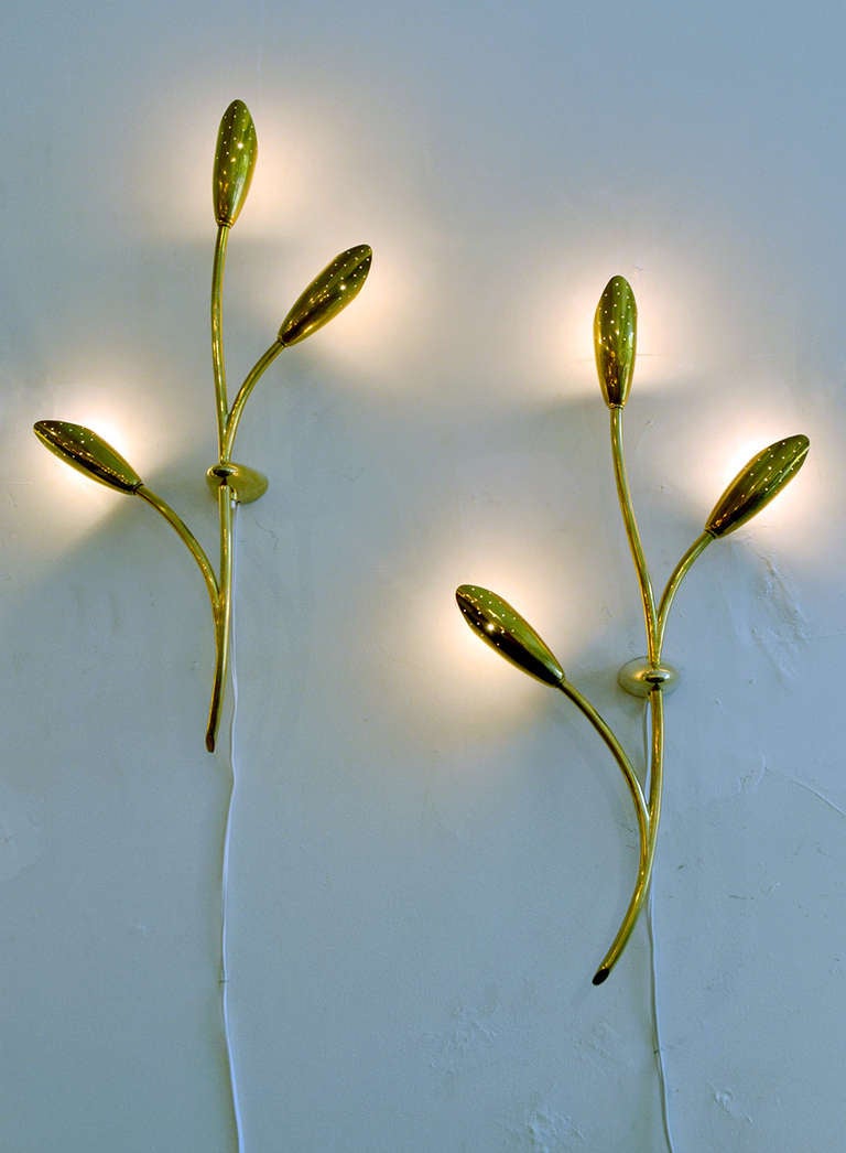 A stylish pair of sconces that resemble a stemming plant with buds. There are a total of three lights per fixture, each with a perforated shade for diffusing light.