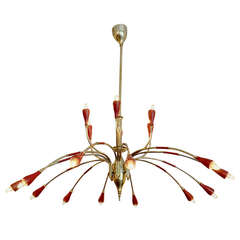 Elegant 18 Arm Italian Chandelier 5