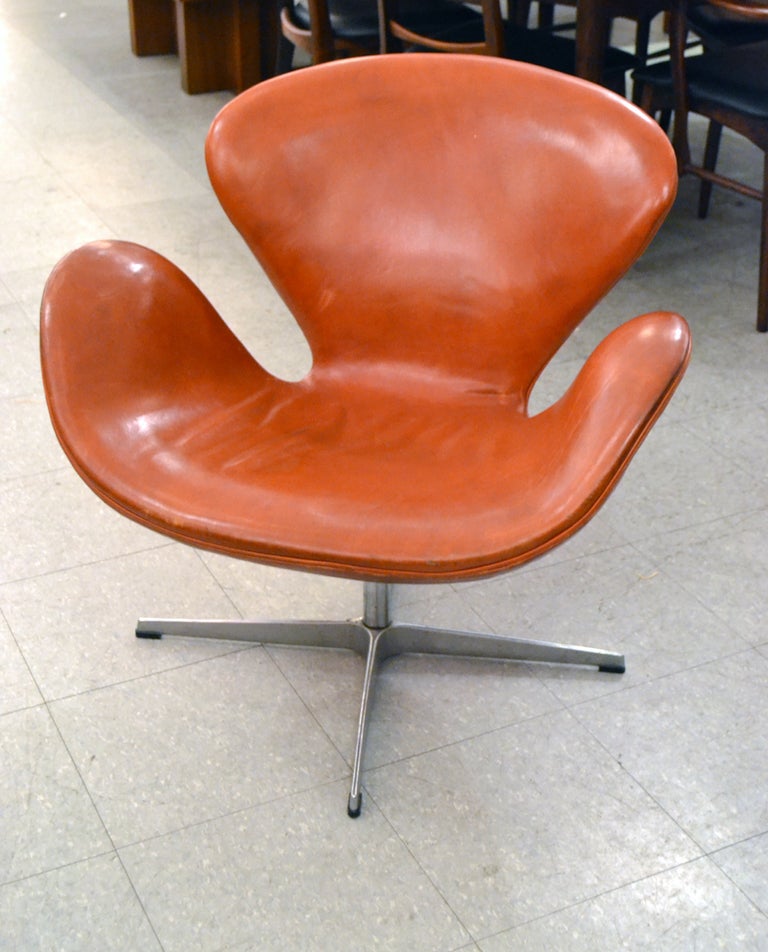 A wonderful aged pair of original Swan chairs in terra cotta colored leather. The chairs swivel 360 degrees. They are extremely comfortable and worn well.
