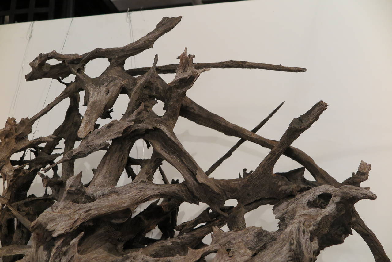 Große Wandskulptur aus Treibholz (amerikanisch)
