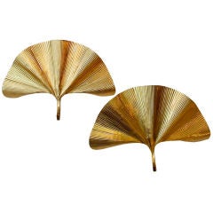 Unique pair of over large scale " Ginko" sconces
